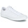 鞋子 球鞋基本款 Converse 匡威 ALL STAR CORE OX 白色